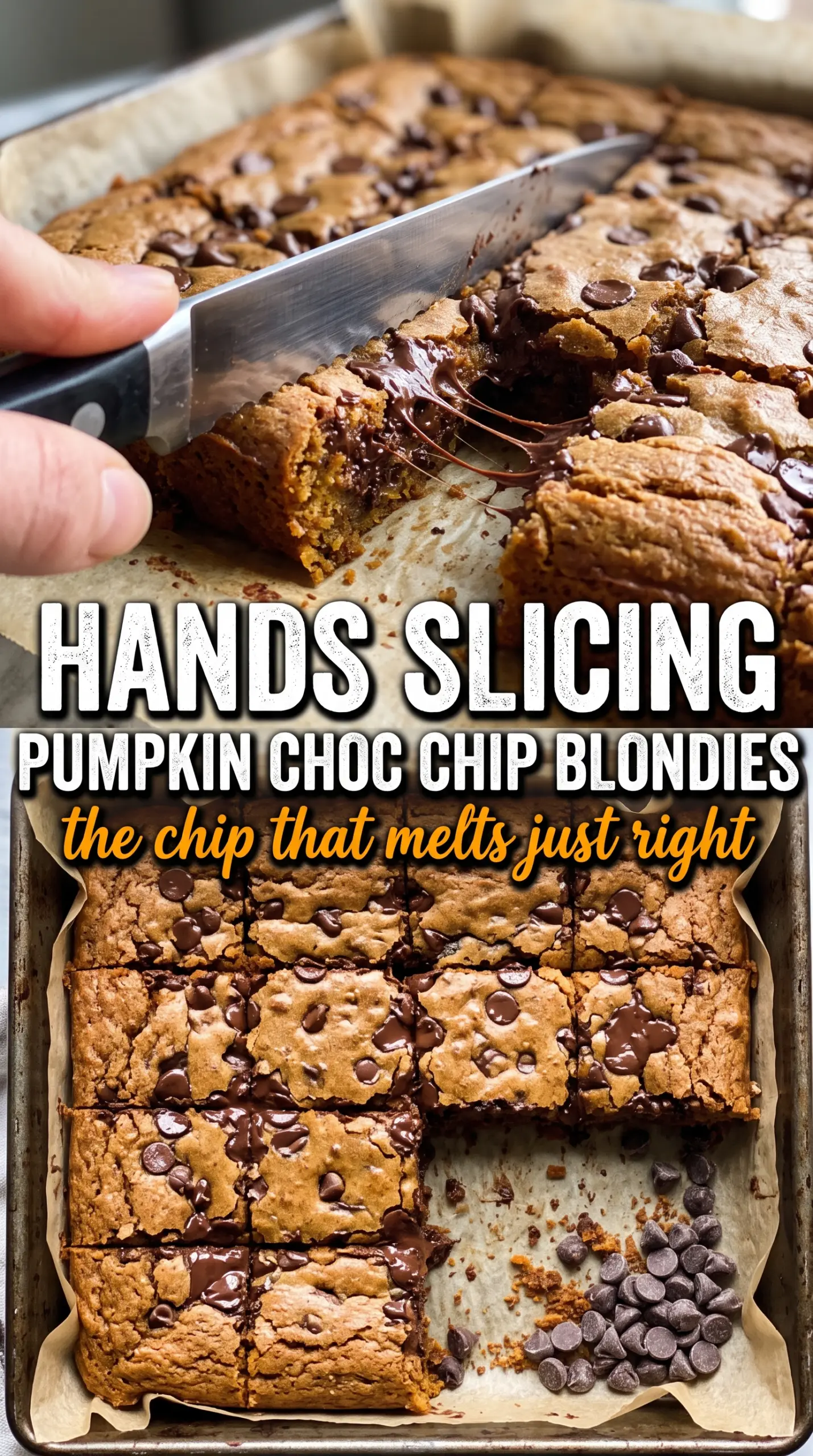 Prepared recipe ready to serve