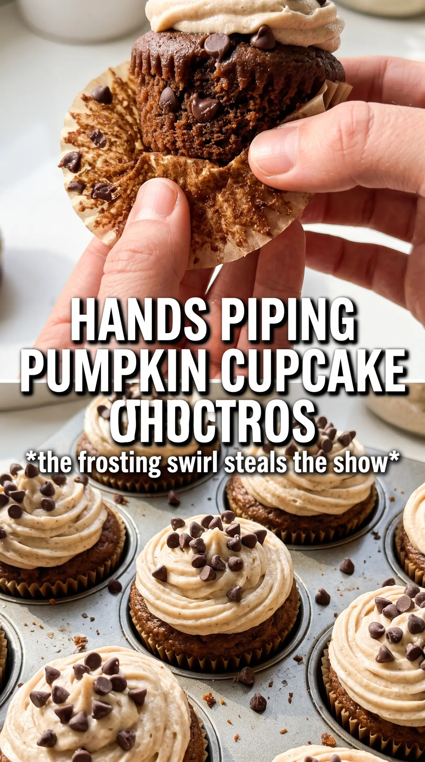 Pumpkin Chocolate Chip Cupcakes chocolate frosting, pumpkin spice, close-up